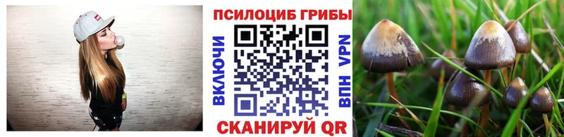 где купить наркотик Можайск Галлюциногенные грибы Psilocybine cubensis